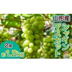 ショッピングふるさと納税 シャインマスカット ふるさと納税 ぶどう マスカット 山形県 山形市 山形産 ぶどう シャインマスカット 令和8年産先行予約 FS23-712 くだもの 果物 フルーツ 山形 山形県 山形市 2…