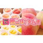 ふるさと納税 もも 山形県 山形市  定期便3回 桃三昧の幸せ便 令和8年産先行予約 FS25-612 くだもの 果物 フルーツ 山形 山形県 山形市 2026年産