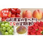 ふるさと納税 果物類 さくらんぼ 山形県 山形市  定期便5回 山形果実の食べきり 乙女の定期便P 令和8年産先行予約 FS25-658 くだもの 果物 フルーツ 山形 山形…
