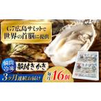 ふるさと納税 牡蠣 生牡蠣 広島県 江田島市 広島G7で提供された牡蠣 全3回定期便 やながわ自慢 殻付き 牡蠣 16個(瞬間冷凍) 牡蠣 かき カキ 殻つき 瀬戸内 広…