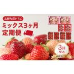 いちご 予約受付 杉山いちご農園 産いちご