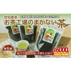 C248p 世知原茶お茶工場のまかない茶