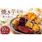 野菜類 サツマイモ 焼き芋 6品種 以上 食べ比べ 10本前後