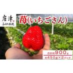 ふるさと納税 いちご 佐賀県 唐津市 『先行予約』 12月上旬より順次発送 佐賀県唐津産いちごさん約450g×2パック(合計約900g) いちごさん イチゴ 果物