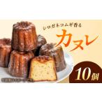 焼菓子 チョコレート シロガネコムギ香る