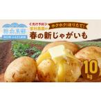 ふるさと納税 野菜類 じゃがいも 鹿児島県 和泊町  2026年先行予約 皆村農園のホクホク ほりたて 春の新じゃがいも 10kg 1月下旬〜4月下旬 　W035-001