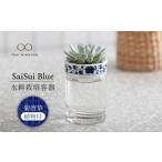 花 苗木 美濃焼 SaiSui Blue 菊唐草