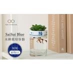 花 苗木 美濃焼 SaiSui Blue 福福