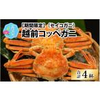 ふるさと納税 カニ 福井県 高浜町  数量・期間限定 福井県産 越前コッペガニ（セイコガニ）×4杯 急速冷凍 （プロトン凍結）