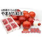 ふるさと納税 果物類 さくらんぼ 山形県 山形市 さくらんぼ やまがた紅王 約800g(200g×4パック) 2Lサイズ以上 令和7年産先行予約 FS24-562くだもの 果物 フル…