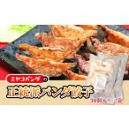 惣菜 レトルト 冷凍 正統派パンダ餃子 計60個