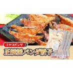 惣菜 レトルト 冷凍 正統派パンダ餃子 計90個