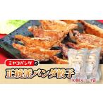 惣菜 レトルト 冷凍 正統派パンダ餃子 計120個