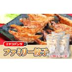 ショッピングギョウザ ふるさと納税 京都府 宇治市 ファミリー餃子　32個入り×5袋　餃子 ギョウザ　CF19