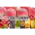 果物の詰合せ 白桃とフルーツ詰合せ 約5kg