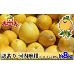 ふるさと納税 果物類 �