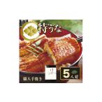 うなぎ 熨斗なし うなぎ蒲焼5人前 1人前約100g×5