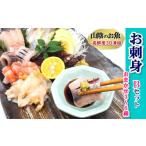 旬の鮮魚等 山陰の地魚お刺身セットB 1460181