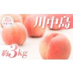 ふるさと納税 もも 福