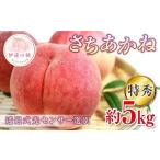 ふるさと納税 もも 福