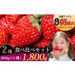 ショッピングふるさと納税 いちご ふるさと納税 いちご 静岡県 牧之原市 いちご 食べ比べ セット 1800g 苺 食べ比べ 900g × 2種 紅ほっぺ おいＣベリー きらぴ香 2品種 冷蔵 冷蔵発送 イチゴ …