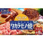肉 新感覚 石垣島のお肉 詰め合わせ~タカラモノお肉便