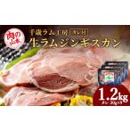 羊肉 千歳ラム工房 生ラムジンギスカン 1.2kgたれ付き