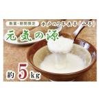 野菜類 2026年11月下旬~ 水戸の3年長芋