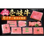 牛肉 サーロイン 全8回定期便 特選 壱岐牛