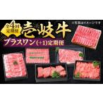牛肉 サーロイン 全4回定期便 特選 壱岐牛
