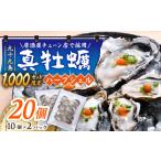 牡蠣 居酒屋 チェーン店で採用 九十九島 真牡蠣