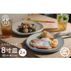 食器 グラス 大皿 波佐見焼 マルヒロ BARBAR たたらシリーズ 8寸皿 2点セット