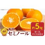 みかん 柑橘類 2027年 秀品 セミノール