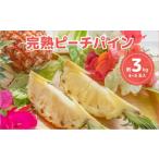 ふるさと納税 果物類 沖縄県 竹富町  新感覚の味わい 桃のような芳醇な香りのする　『西表島産完熟ピーチパイン』約3kg（4〜5個入） 約3kg（4〜5個入）