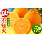ふるさと納税 みかん・柑橘類 デコポン 熊本県 玉名市 ご家庭用 訳あり 不知火 5kg ( デコポン と 同品種 ) | 果物 くだもの フルーツ 柑橘 柑橘類 みかん …