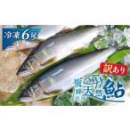 川魚 あゆ 訳あり 飛騨庄川の天然鮎 6尾