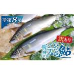 川魚 あゆ 訳あり 飛騨庄川の天然鮎 8尾