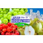 果物類 さくらんぼ 定期便3回 やまがた フルーツ定期便