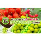 ショッピングふるさと納税 さくらんぼ ふるさと納税 果物類 さくらんぼ 山形県 山形市  定期便2回 おいしいやまがた さくらんぼとシャインマスカットの2回定期便 令和8年産先行予約 FS24-530 くだも…