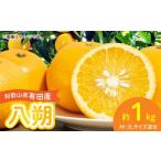 果物類 みかん 2027年 有田産 八朔 約1kg