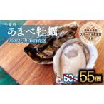 ふるさと納税 牡蠣 生牡蠣 徳島県 海陽町 先行予約 あまべ牡蠣 55個 牡蠣 シングルシード 生食用 殻付き かき カキ オイスター 生ガキ 生牡蠣 生がき 生かき …