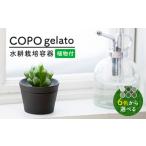 苗木 美濃焼 色が COPO ジェラート 植物付き