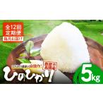 2294-2 こだわり農家の自信作 高隈産