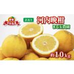 ふるさと納税 果物類 みかん 愛媛県 宇和島市 訳あり 河内晩柑 10kg まる玉農園 先行予約 かわちばんかん 晩柑 ばんかん 柑橘 果物 くだもの フルーツ 和製 グ…