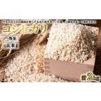 ふるさと納税 米 コシヒカリ 栃木県 壬生町 《令和7年産》コシヒカリ 玄米 1kg×2 計2kg ｜ 一等米 お殿様のお米 米 お米 おこめ こしひかり コメ こめ ご飯 …