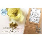 ハーブ仁淀川産 自然栽培ハーブ アップルミント