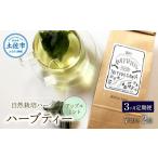ハーブ仁淀川産 自然栽培ハーブ アップルミント