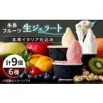 ふるさと納税 アイス・ヨーグルト ジェラート 福岡県 糸島市 糸島 フルーツ 生ジェラート 9個セット 糸島市 / COCO GELATO AON001