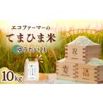 米 10kg