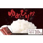 ふるさと納税 米 ゆめ